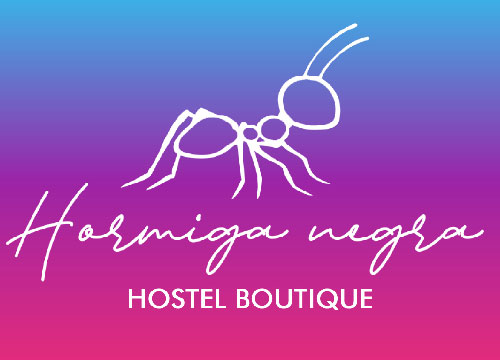 HOSTEL HORMIGA NEGRA